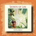 Karunesh - Secrets of Life, world fusion, new age,  relaxation and meditation music