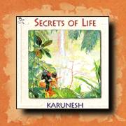 Karunesh - Secrets of Life, new age relaxation music